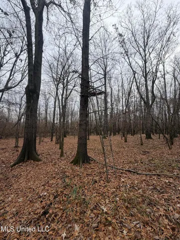 $485,000 | Gentry Road, Mound Bayou, MS 38762