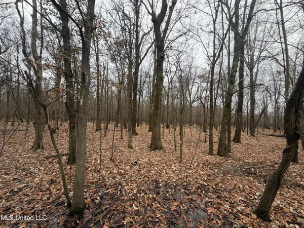 $485,000 | Gentry Road, Mound Bayou, MS 38762