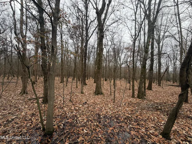 $485,000 | Gentry Road, Mound Bayou, MS 38762