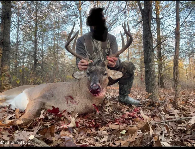 $485,000 | Gentry Road, Mound Bayou, MS 38762