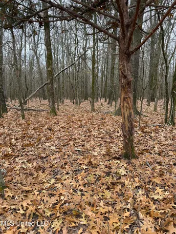 $485,000 | Gentry Road, Mound Bayou, MS 38762