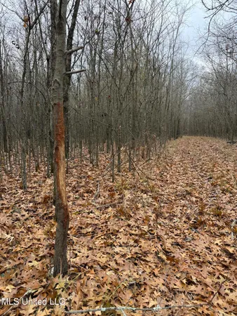 $485,000 | Gentry Road, Mound Bayou, MS 38762