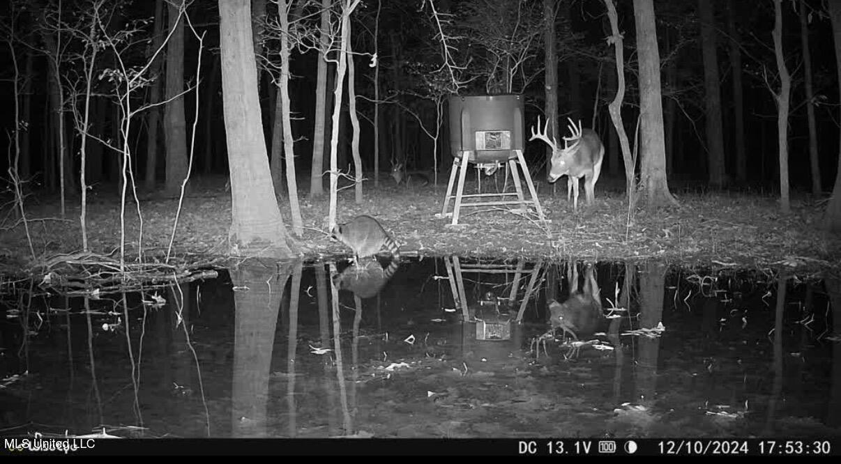 Gentry Road Mound Bayou, MS 38762 - Photo 23 of 68 IMG_1348