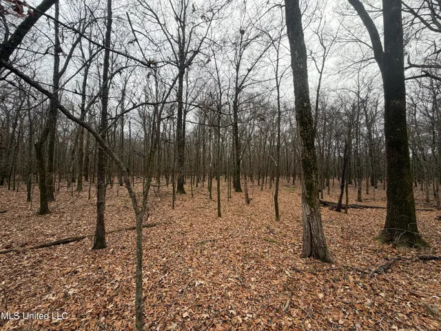 $485,000 | Gentry Road, Mound Bayou, MS 38762