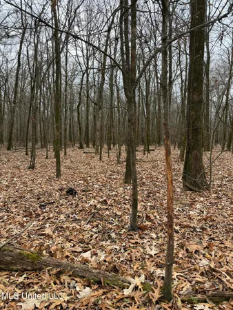 $485,000 | Gentry Road, Mound Bayou, MS 38762