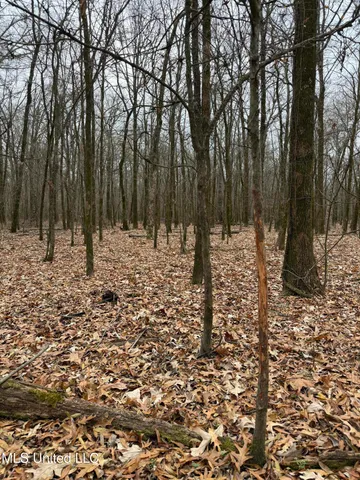 $485,000 | Gentry Road, Mound Bayou, MS 38762