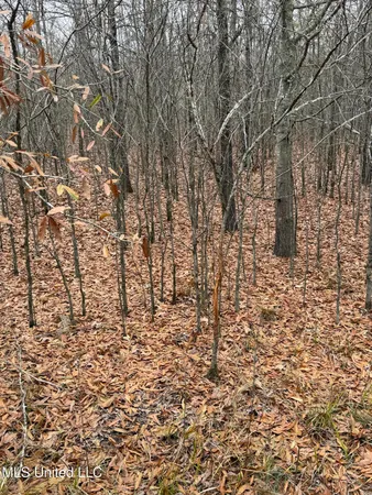 $485,000 | Gentry Road, Mound Bayou, MS 38762