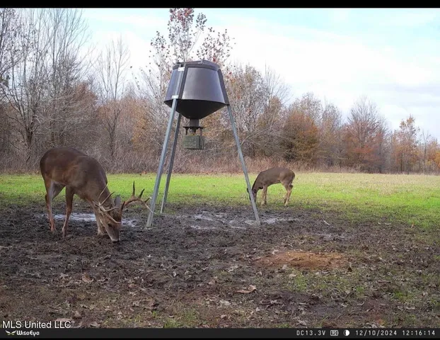 $485,000 | Gentry Road, Mound Bayou, MS 38762