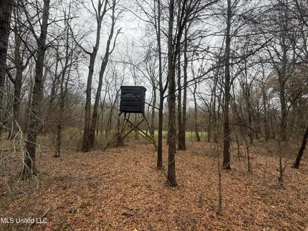 $485,000 | Gentry Road, Mound Bayou, MS 38762
