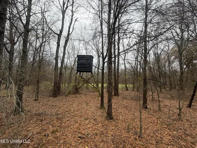 $485,000 | Gentry Road, Mound Bayou, MS 38762