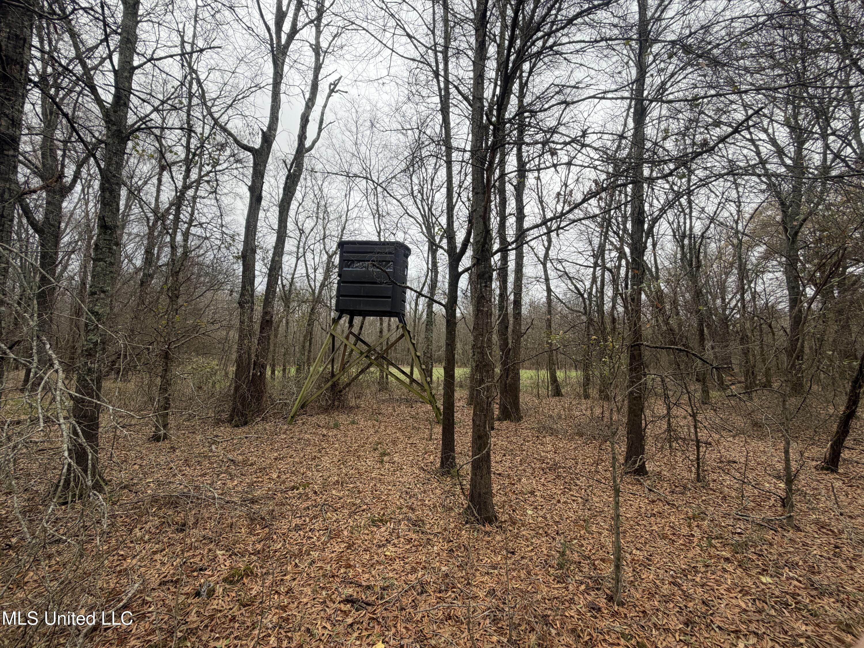 Gentry Road Mound Bayou, MS 38762 - Photo 29 of 68 IMG_1253