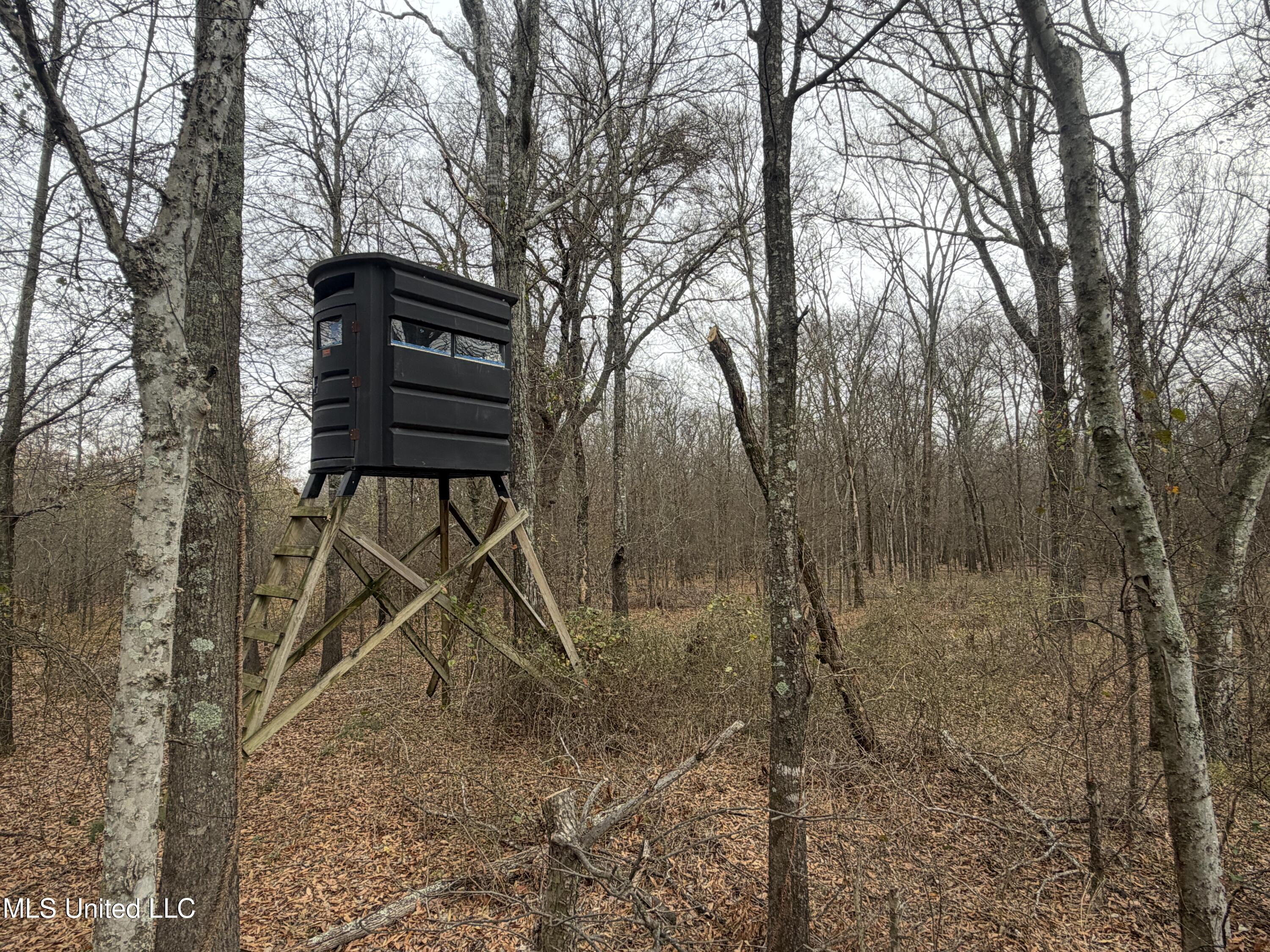 Gentry Road Mound Bayou, MS 38762 - Photo 32 of 68 IMG_1256