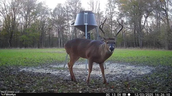 $485,000 | Gentry Road, Mound Bayou, MS 38762