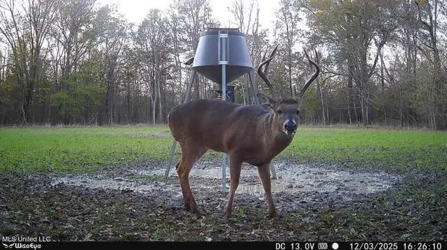 $485,000 | Gentry Road, Mound Bayou, MS 38762