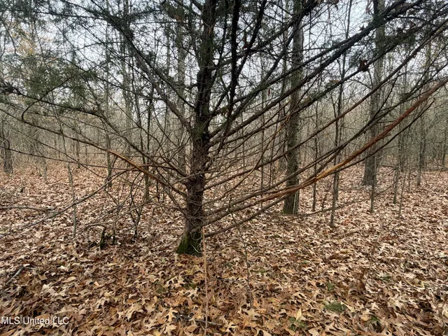 $485,000 | Gentry Road, Mound Bayou, MS 38762