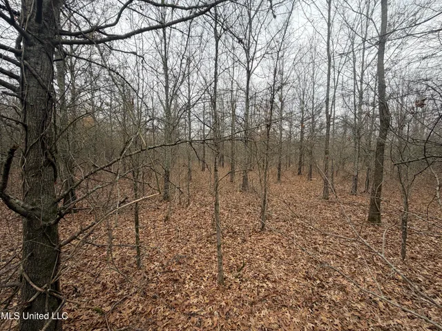 $485,000 | Gentry Road, Mound Bayou, MS 38762