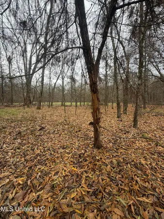 $485,000 | Gentry Road, Mound Bayou, MS 38762