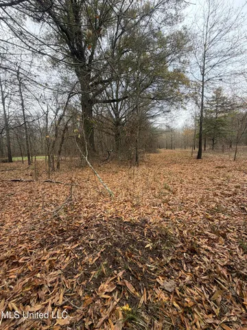 $485,000 | Gentry Road, Mound Bayou, MS 38762