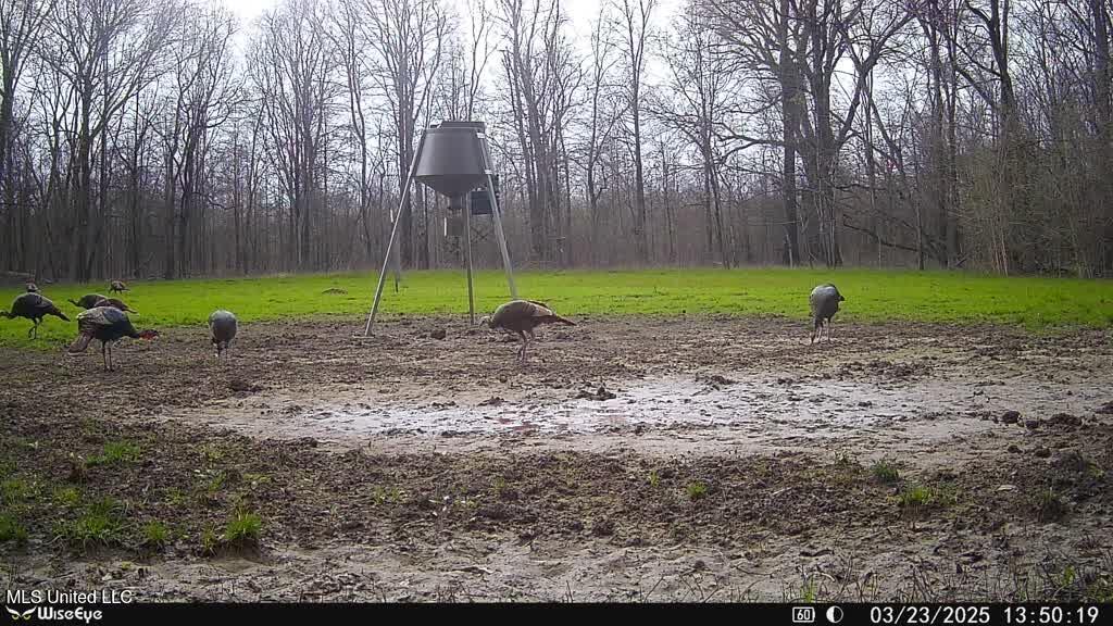 Gentry Road Mound Bayou, MS 38762 - Photo 38 of 68 IMG_1713