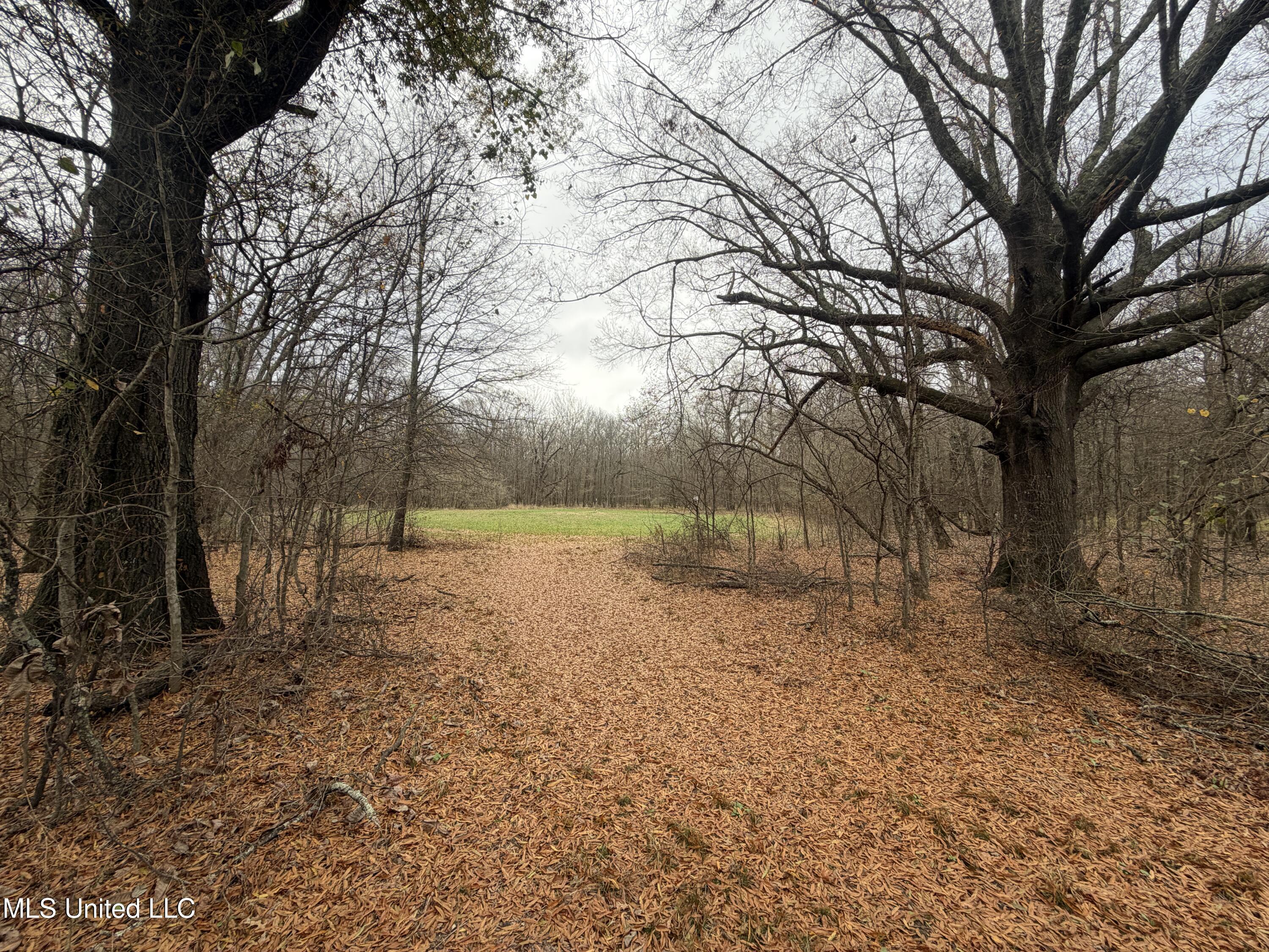 Gentry Road Mound Bayou, MS 38762 - Photo 39 of 68 IMG_1261