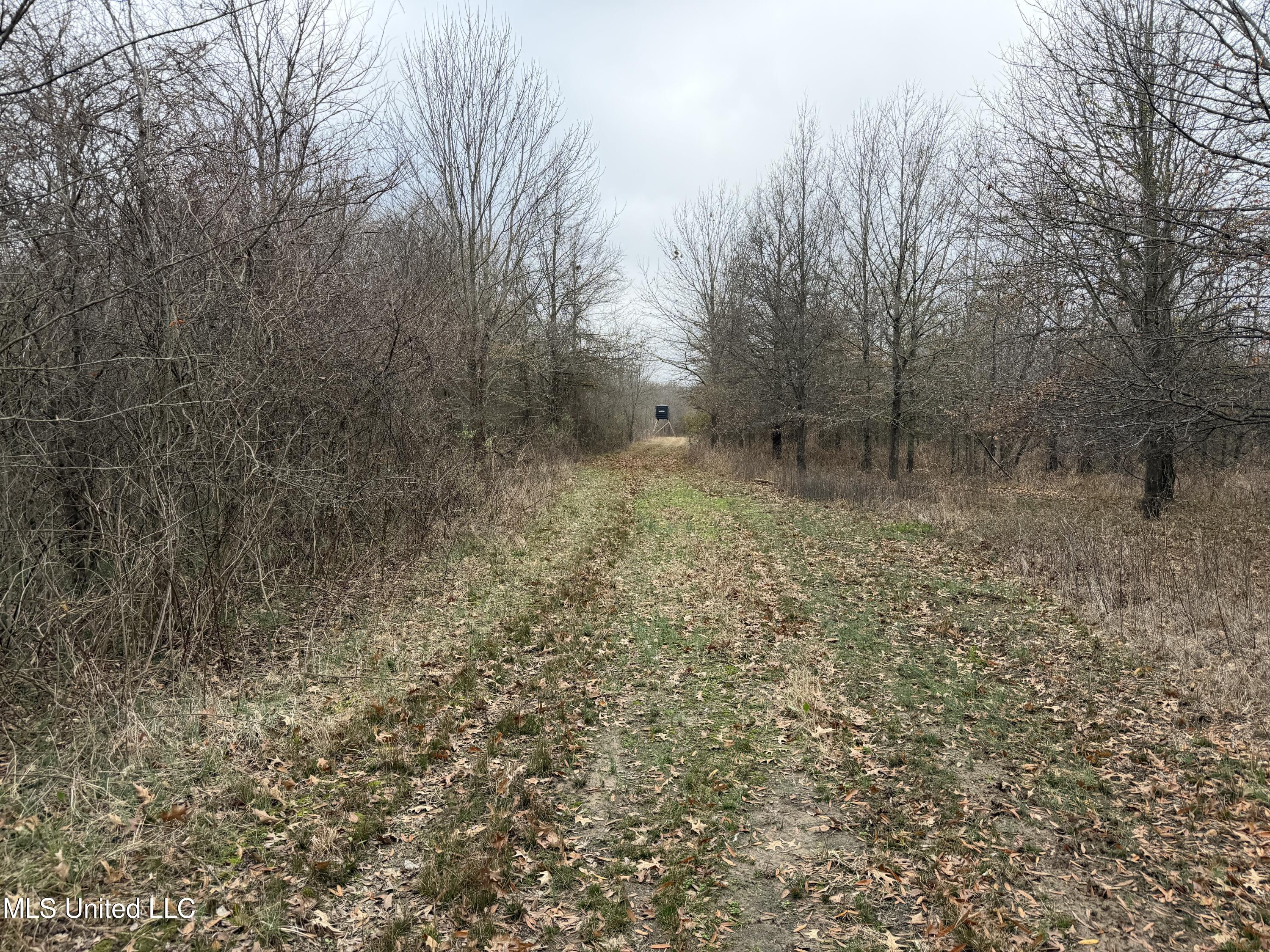 Gentry Road Mound Bayou, MS 38762 - Photo 40 of 68 IMG_1262