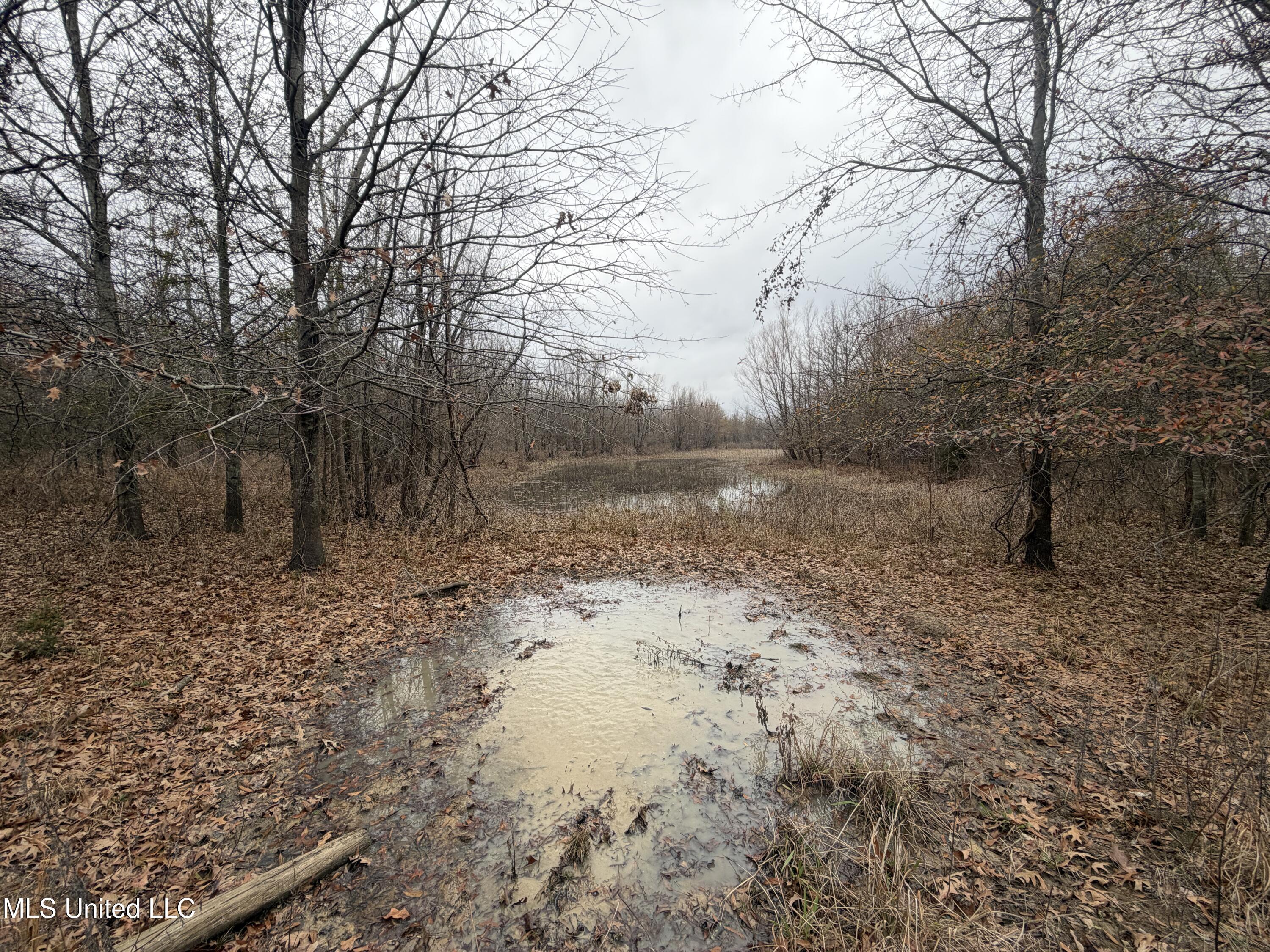 Gentry Road Mound Bayou, MS 38762 - Photo 41 of 68 IMG_1263