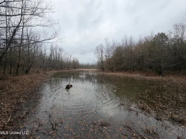 $485,000 | Gentry Road, Mound Bayou, MS 38762