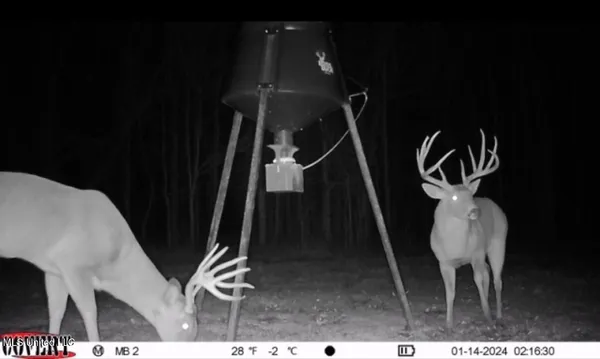 $485,000 | Gentry Road, Mound Bayou, MS 38762