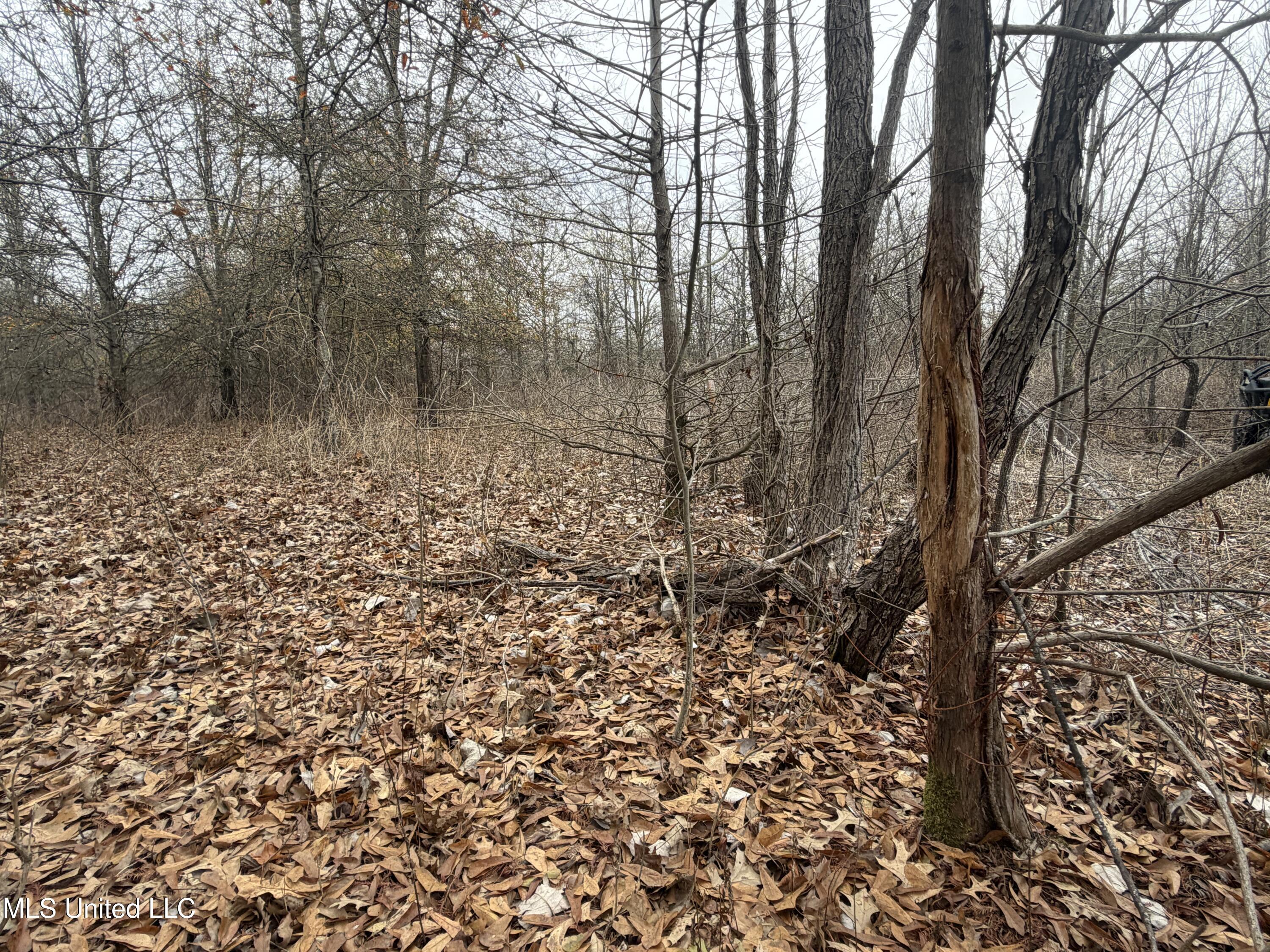 Gentry Road Mound Bayou, MS 38762 - Photo 45 of 68 IMG_1267