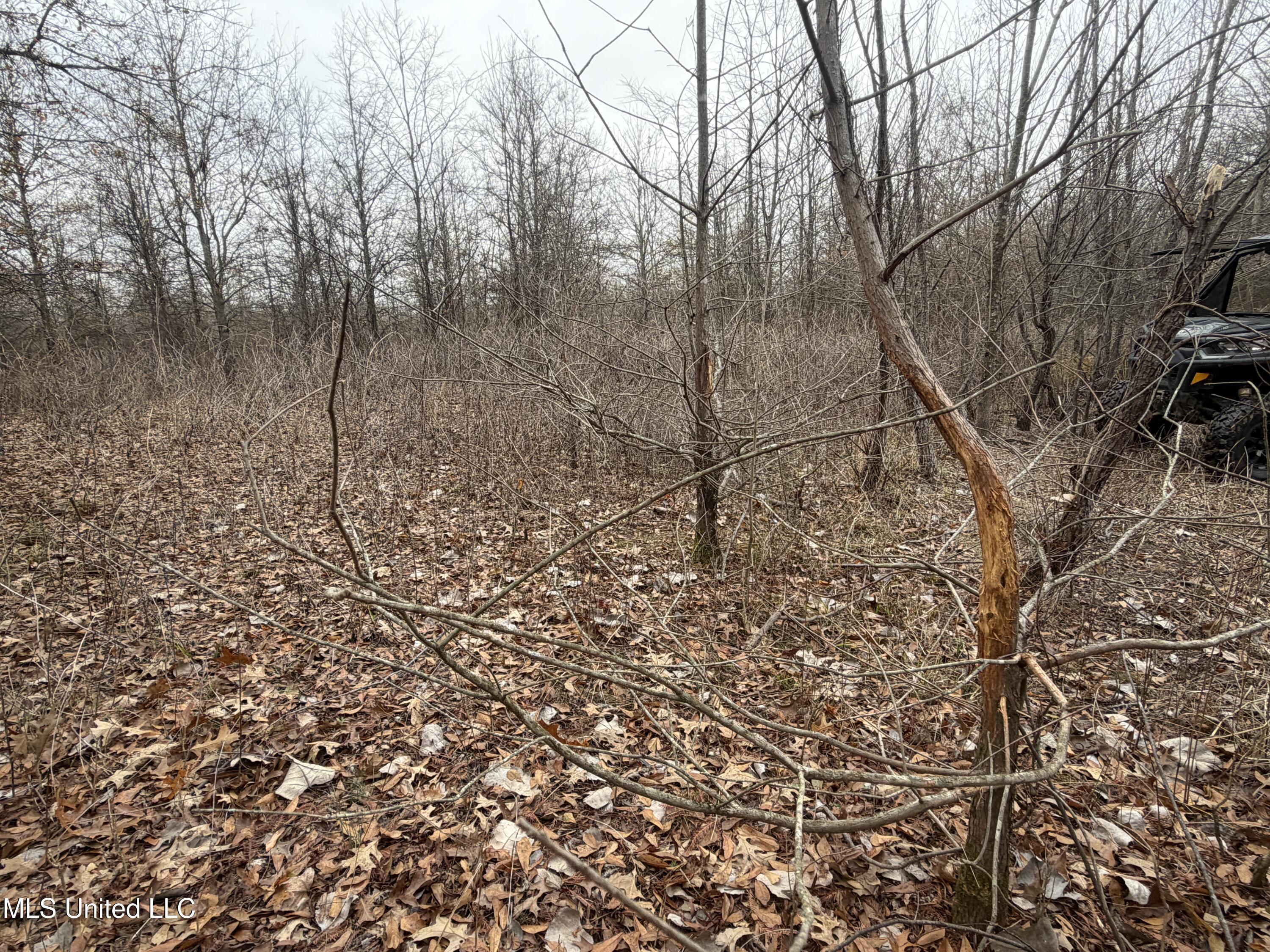 Gentry Road Mound Bayou, MS 38762 - Photo 46 of 68 IMG_1268