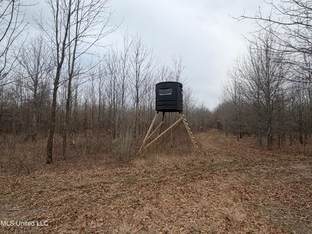 $485,000 | Gentry Road, Mound Bayou, MS 38762