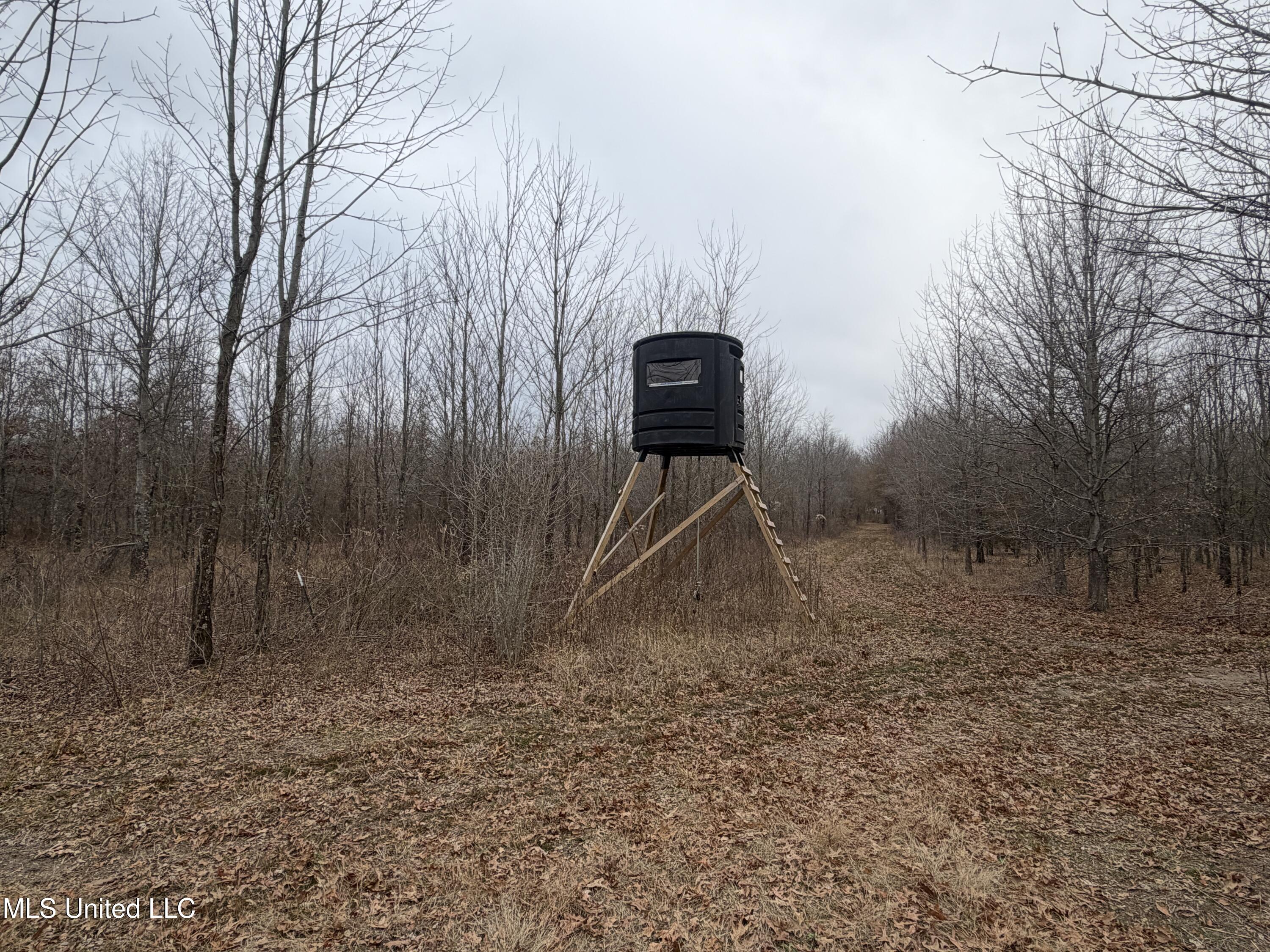 Gentry Road Mound Bayou, MS 38762 - Photo 49 of 68 IMG_1270