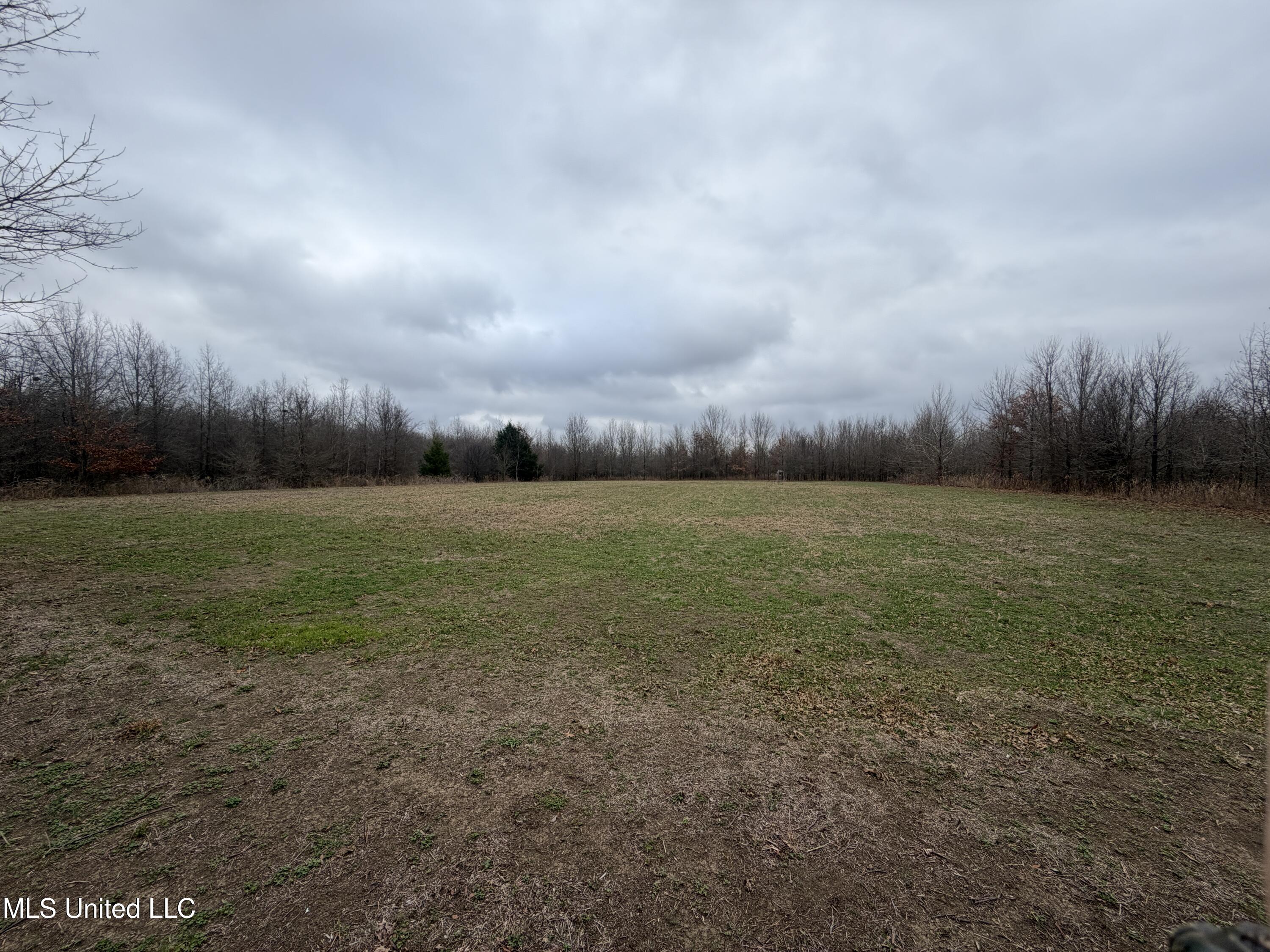 Gentry Road Mound Bayou, MS 38762 - Photo 50 of 68 IMG_1271