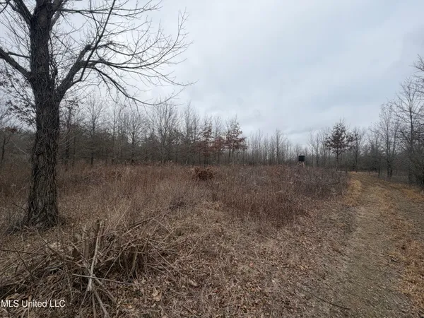$485,000 | Gentry Road, Mound Bayou, MS 38762
