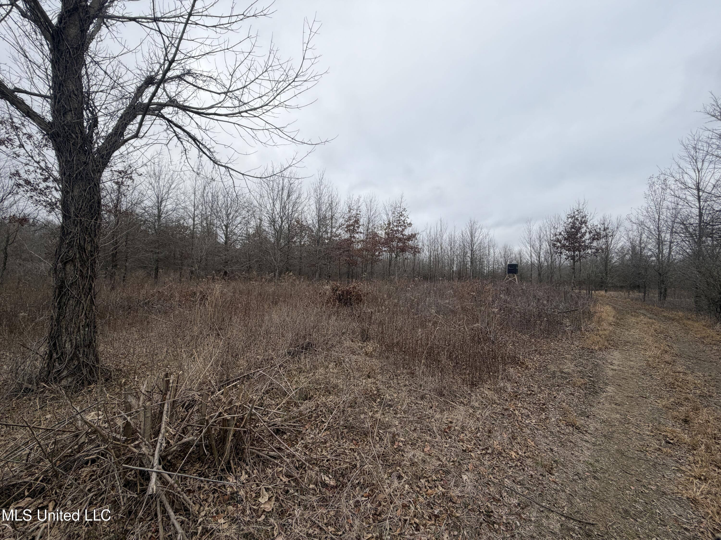 Gentry Road Mound Bayou, MS 38762 - Photo 52 of 68 IMG_1273