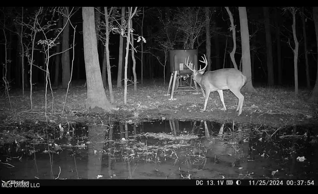 $485,000 | Gentry Road, Mound Bayou, MS 38762