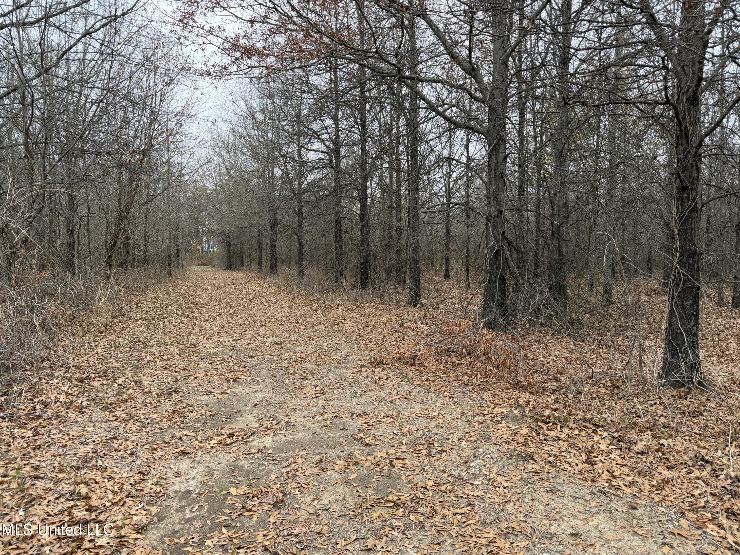 Gentry Road Mound Bayou, MS 38762 - Photo 54 of 68 IMG_1274