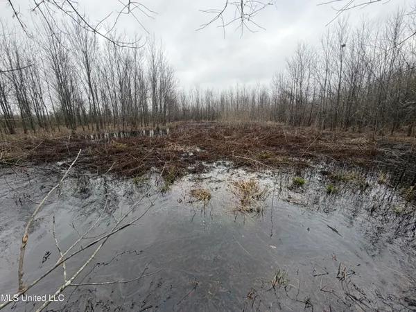 $485,000 | Gentry Road, Mound Bayou, MS 38762