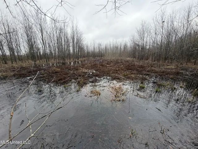 $485,000 | Gentry Road, Mound Bayou, MS 38762