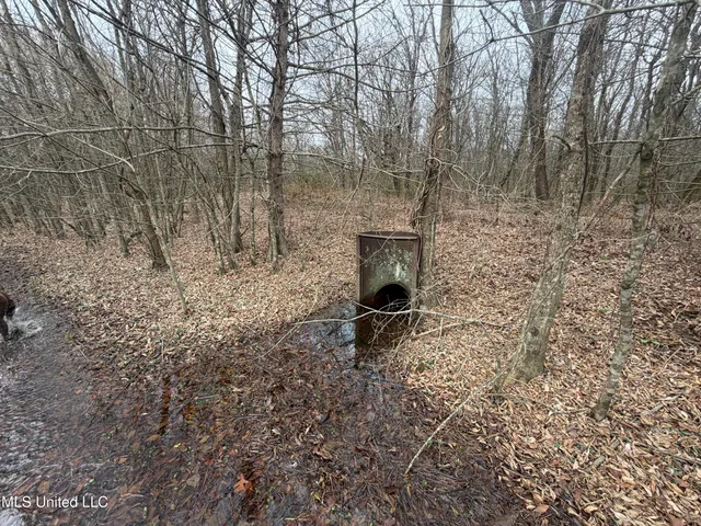 $485,000 | Gentry Road, Mound Bayou, MS 38762