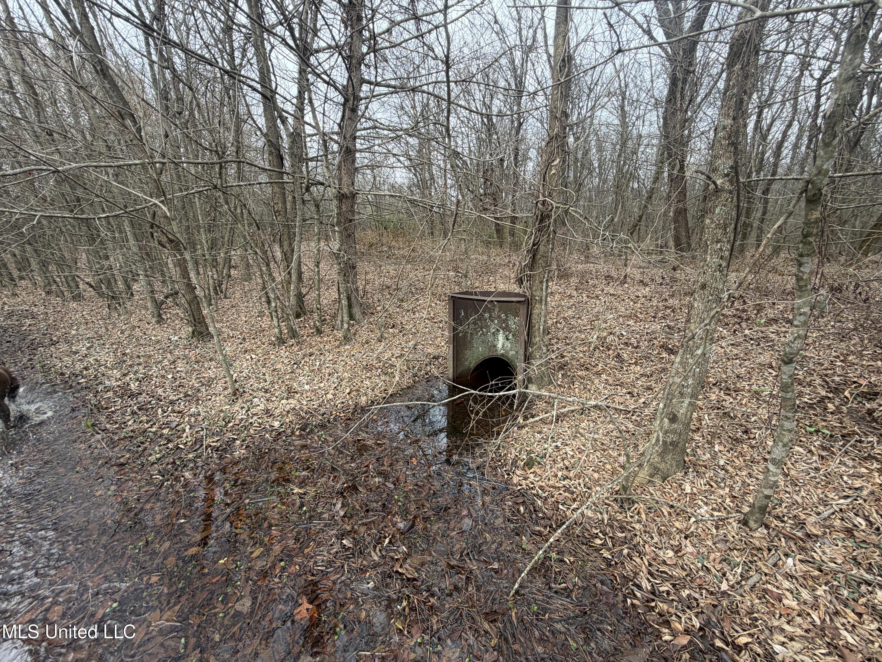 Gentry Road Mound Bayou, MS 38762 - Photo 56 of 68 IMG_1276