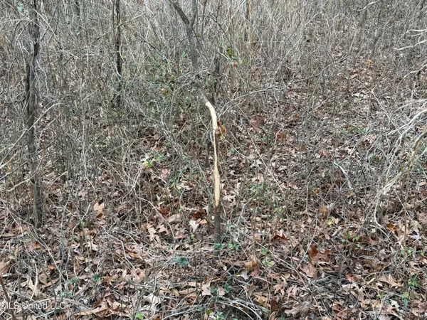 $485,000 | Gentry Road, Mound Bayou, MS 38762