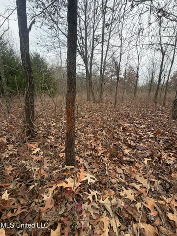 $485,000 | Gentry Road, Mound Bayou, MS 38762