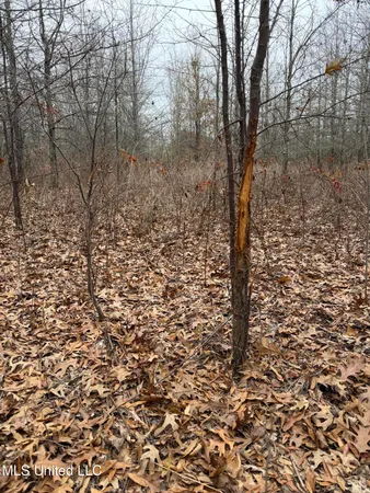 $485,000 | Gentry Road, Mound Bayou, MS 38762