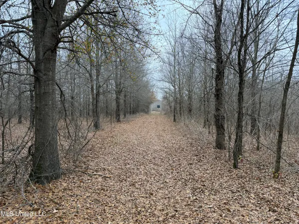 $485,000 | Gentry Road, Mound Bayou, MS 38762