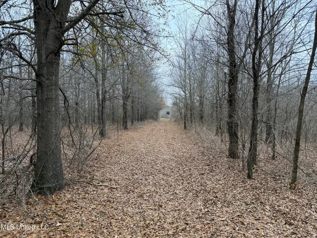 $485,000 | Gentry Road, Mound Bayou, MS 38762