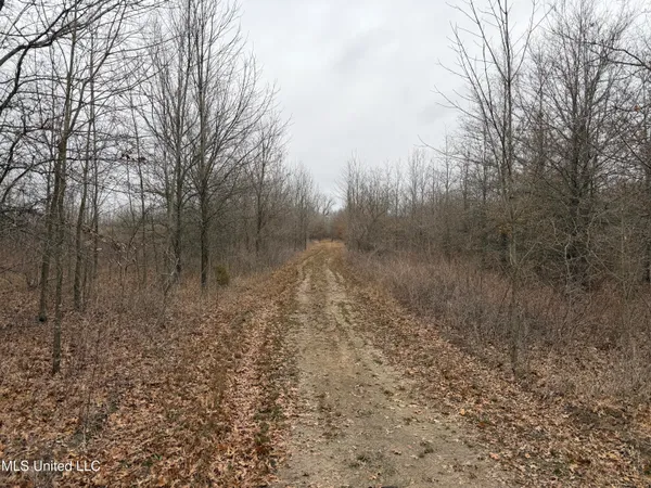$485,000 | Gentry Road, Mound Bayou, MS 38762