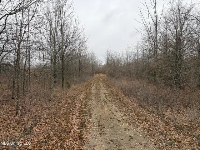 $485,000 | Gentry Road, Mound Bayou, MS 38762