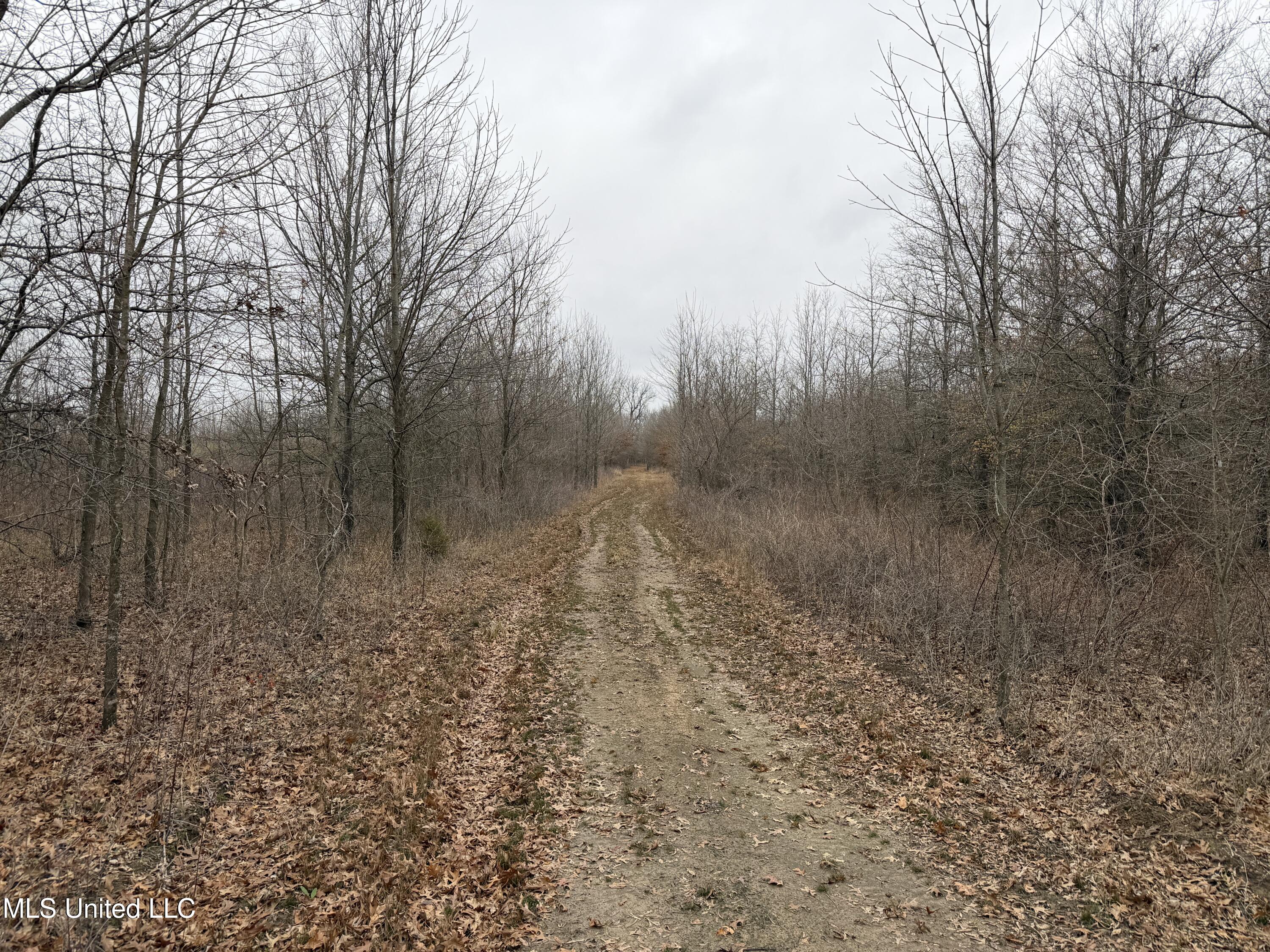 Gentry Road Mound Bayou, MS 38762 - Photo 61 of 68 IMG_1282