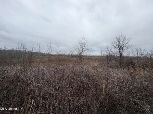 $485,000 | Gentry Road, Mound Bayou, MS 38762